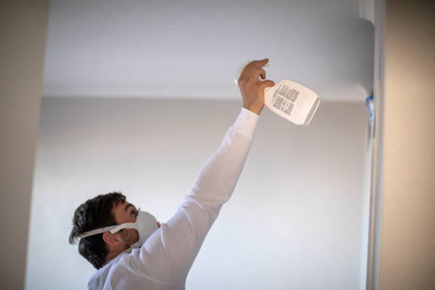 Best Fast Mold Removal  in Jackson, CA