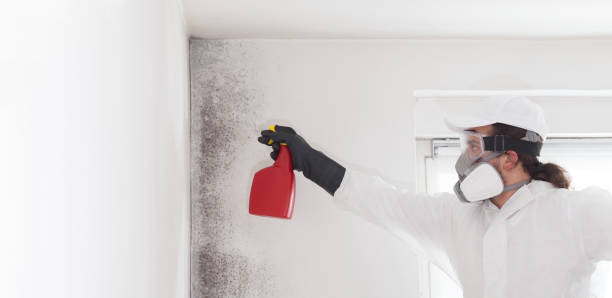 Best Crawl Space Mold Removal  in Jackson, CA